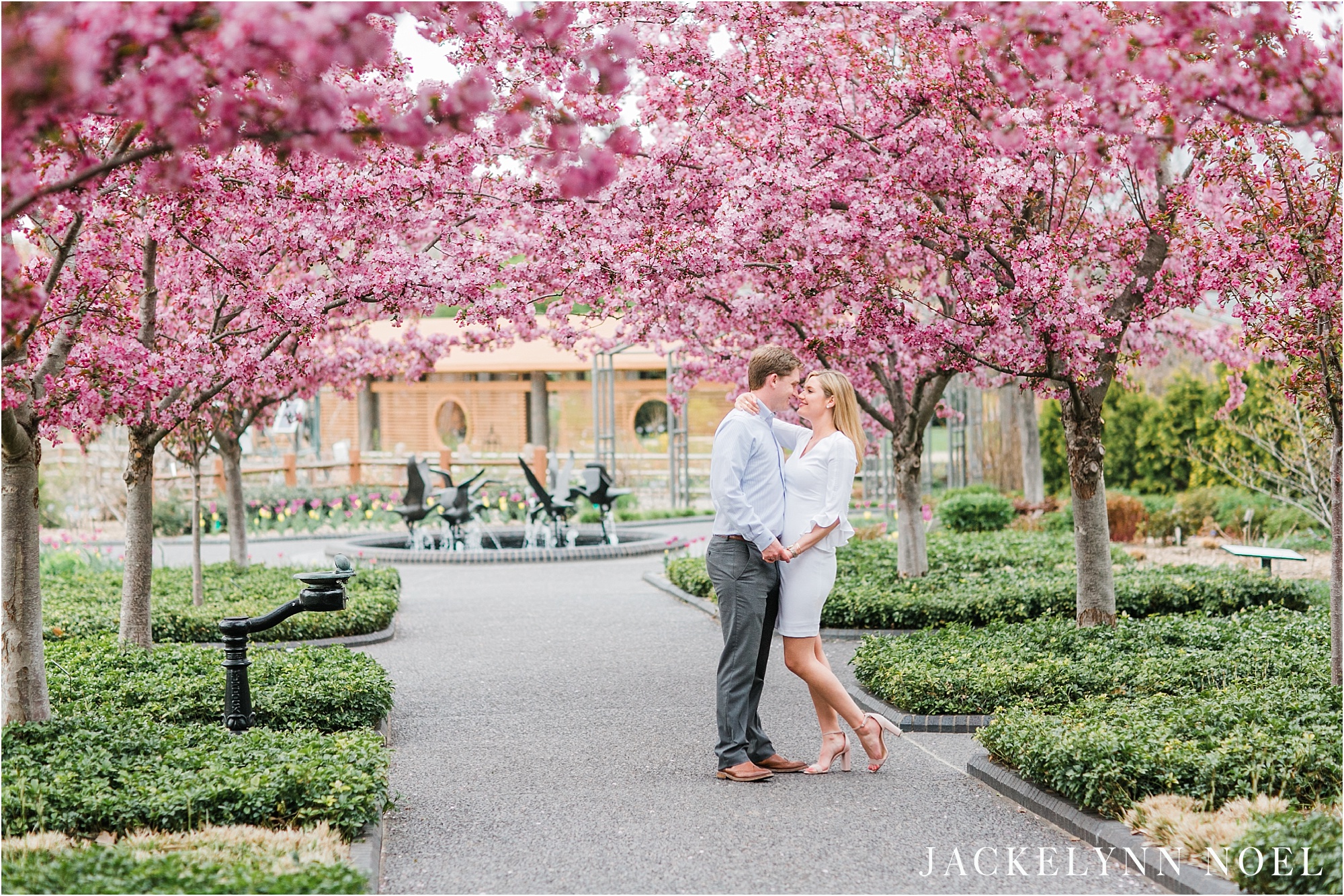 Molly and Marcus's Engagement Session at the Missouri Botanical Gardens by Jackelynn Noel Photography