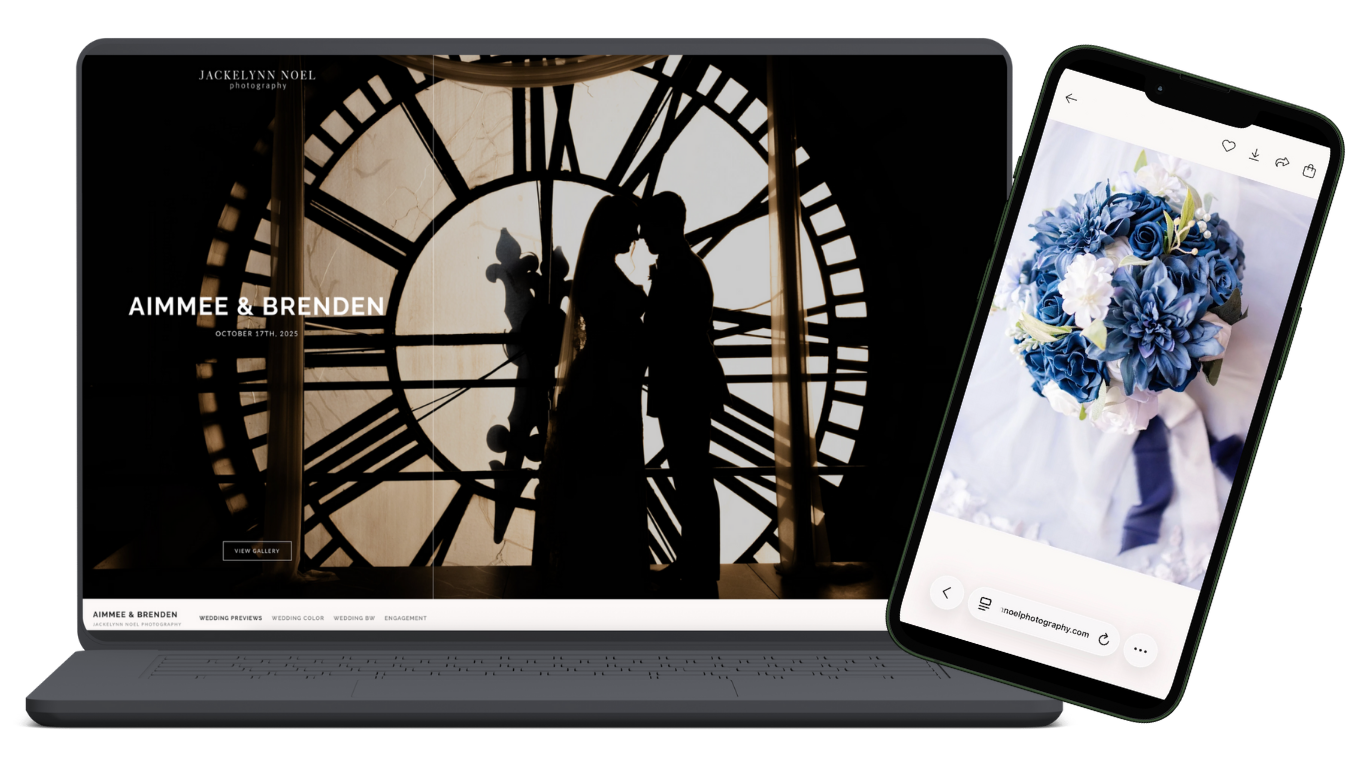 Photo of Pixieset Galleries introducing a guide for how to download images.